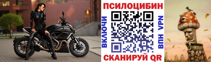 Псилоцибиновые грибы MAGIC MUSHROOMS  где купить наркоту  Кремёнки 